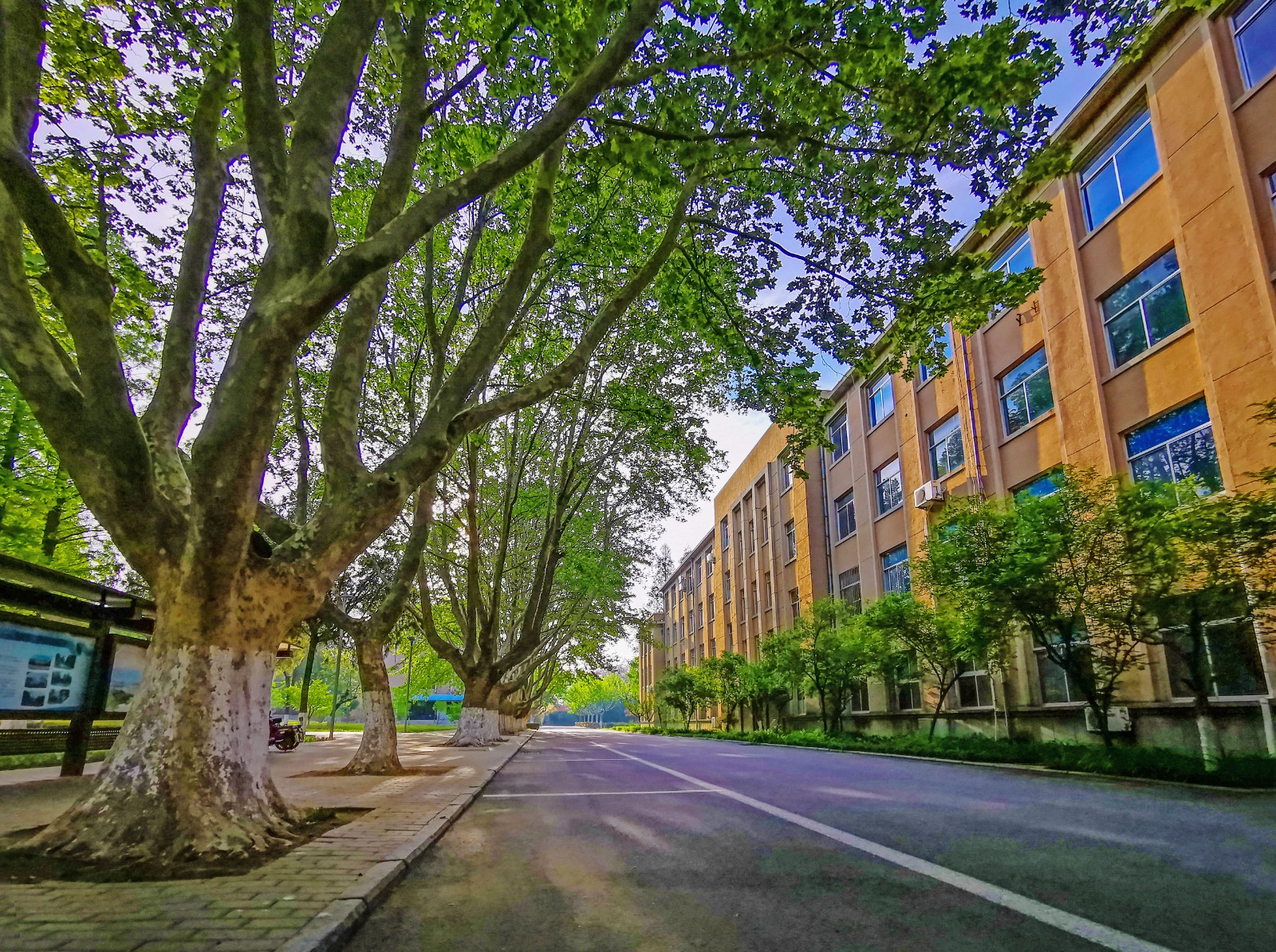 航拍校园_校园风光_青岛农业大学_Qingdao Agricultural University