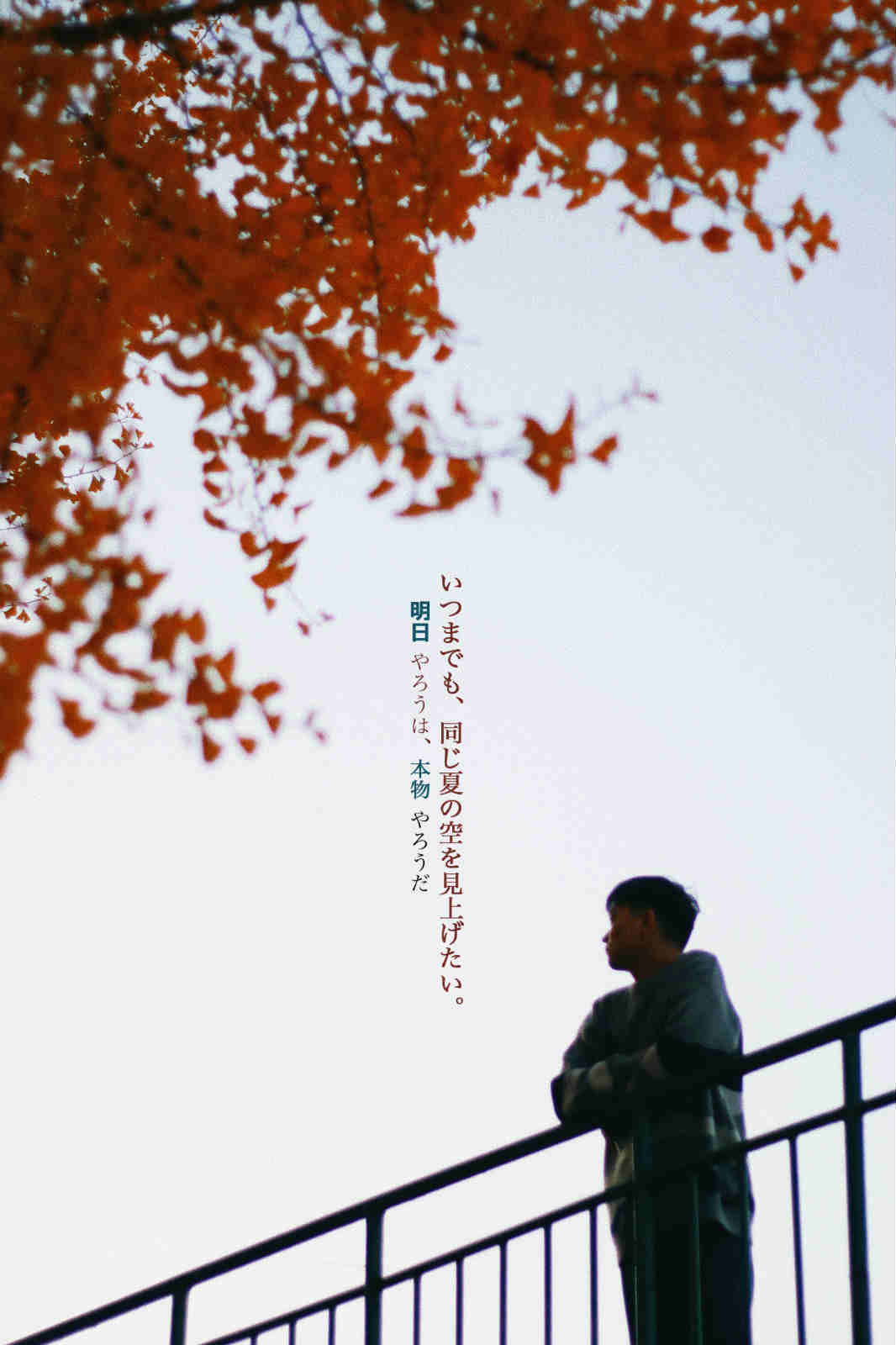 王骁龙《秋日印“纪”》2.jpg