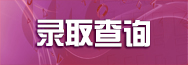 录取查询